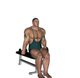 Anterior Raise - Seated Dumbbell Narrow Alternate